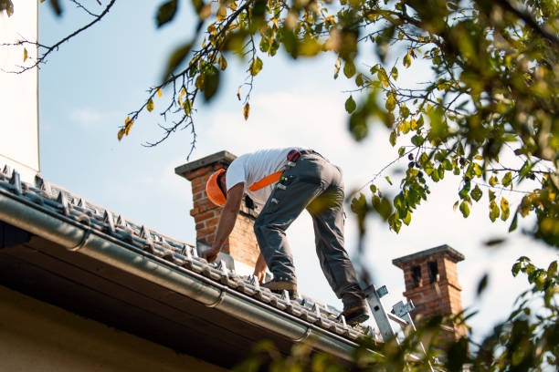 Best Residential Roofing Contractor  in Perry, MI