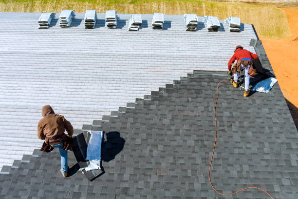 Residential Roof Replacement in Perry, MI