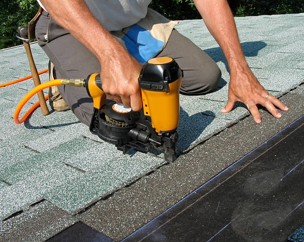 Best Roof Gutter Cleaning  in Perry, MI