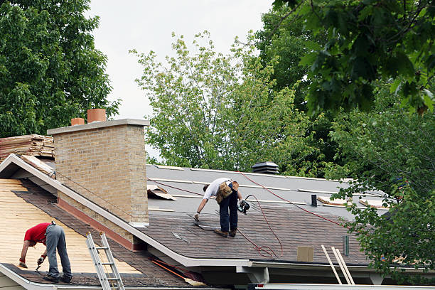 Best Roofing Contractor Near Me  in Perry, MI