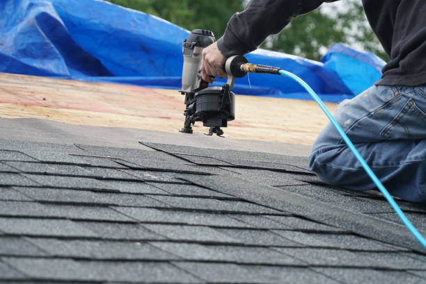 Best Flat Roof Repair Services  in Perry, MI