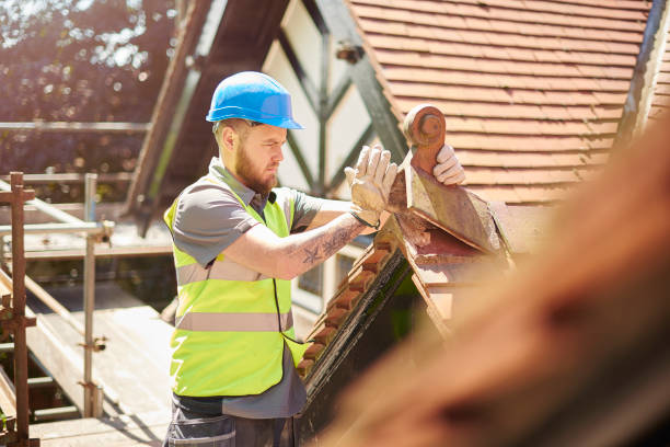 Best Residential Roof Replacement  in Perry, MI