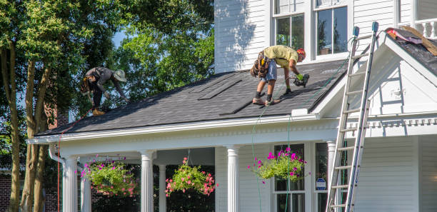 Best Local Roofing Companies  in Perry, MI